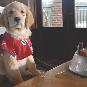 Foto Space Buddies: Cachorros en el espacio