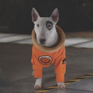 Foto Space Buddies: Cachorros en el espacio