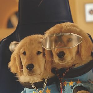Foto Space Buddies: Cachorros en el espacio