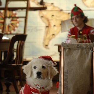 Foto Navidad con los Buddies: En busca de Santa Can