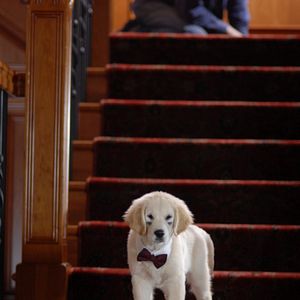 Foto Navidad con los Buddies: En busca de Santa Can