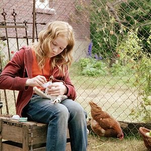 Foto Die wilden Hühner