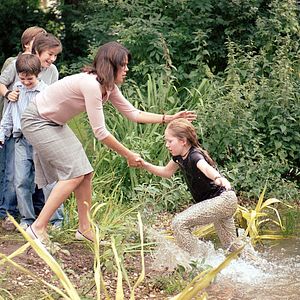 Foto Die wilden Hühner