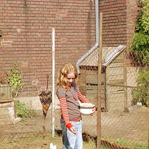 Foto Die wilden Hühner