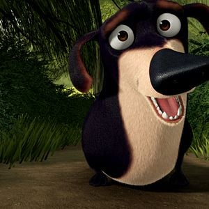 Foto Colegas en el bosque 2