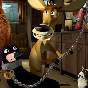 Foto Colegas en el bosque 2