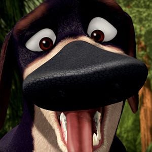 Foto Colegas en el bosque 2