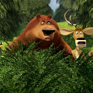 Foto Colegas en el bosque 2