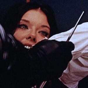 Foto El pájaro de las plumas de cristal