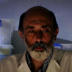 Foto Los caminos de la memoria