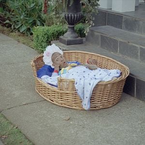 Foto Pequeño pero matón