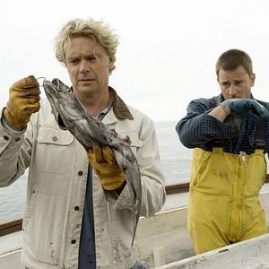 Foto Alerta tiburones