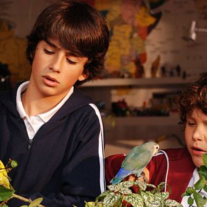 Foto Do começo ao Fim