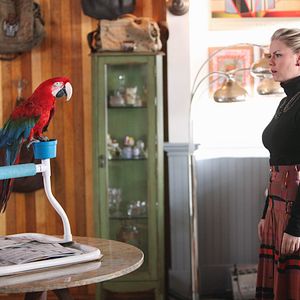 Foto Finales felices