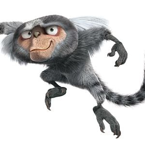 Foto Carlos Saldanha