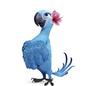 Foto Carlos Saldanha