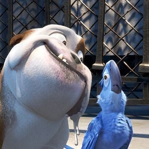 Foto Carlos Saldanha