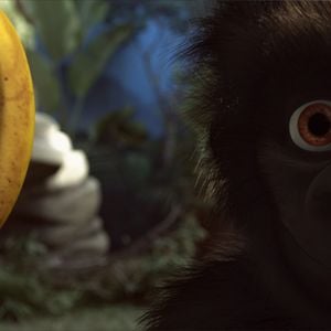 Foto Copito de nieve