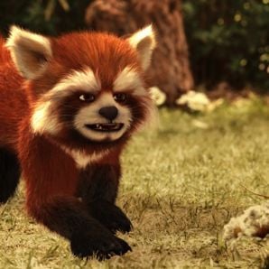 Foto Copito de nieve