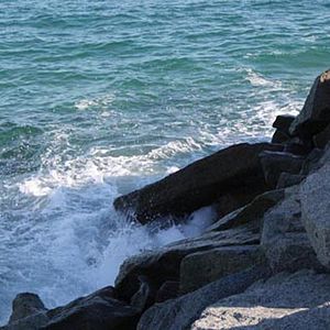 Foto Los pasos perdidos