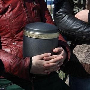 Foto Los pasos perdidos