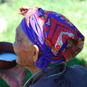 Foto Los dos caballos de Genghis Khan