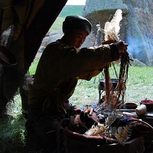 Foto Los dos caballos de Genghis Khan