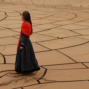 Foto Los dos caballos de Genghis Khan