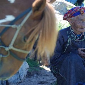 Foto Los dos caballos de Genghis Khan