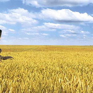 Foto Arthur y la guerra de los mundos