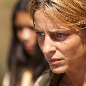 Foto 600 kilos de oro puro