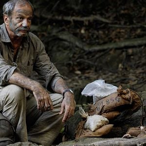 Foto 600 kilos de oro puro