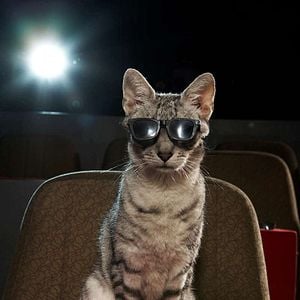 Foto El gato con botas