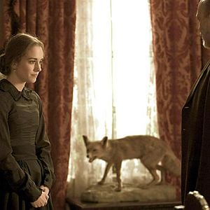 Foto Tierra de Lobos