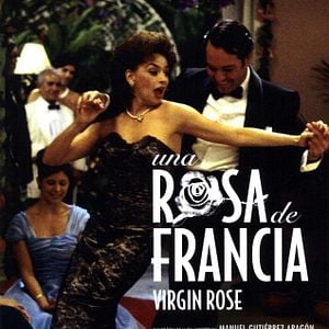 Foto Una rosa de Francia