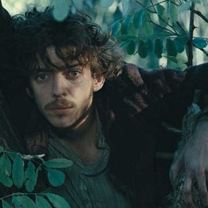 Foto En lo profundo del bosque