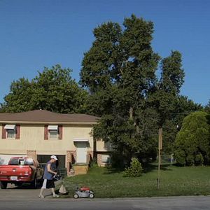 Foto The Cat, the Reverend and the Slave