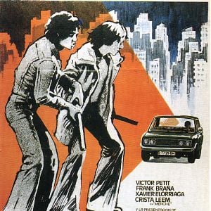 Foto Perros callejeros