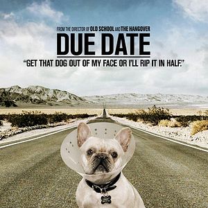 Foto Salidos de cuentas