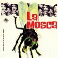 Foto La mosca