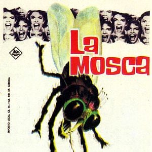 Foto La mosca