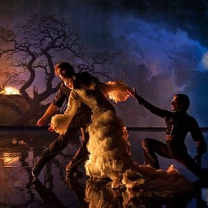 Foto Flamenco, Flamenco