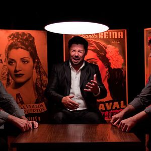 Foto Flamenco, Flamenco