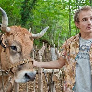 Foto ¿Para qué sirve un oso?