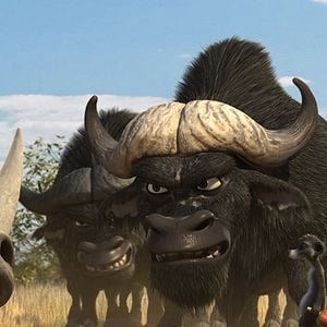 Foto Animals United en 3D