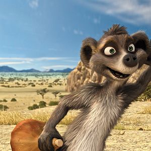 Foto Animals United en 3D