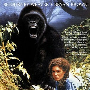 Foto Gorilas en la niebla