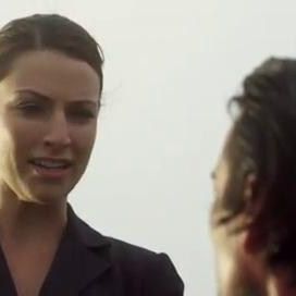 Foto Megatiburón vs Crocosaurio