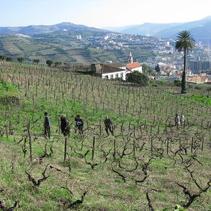 Foto El extraño caso de Angélica