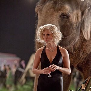 Foto Agua para elefantes